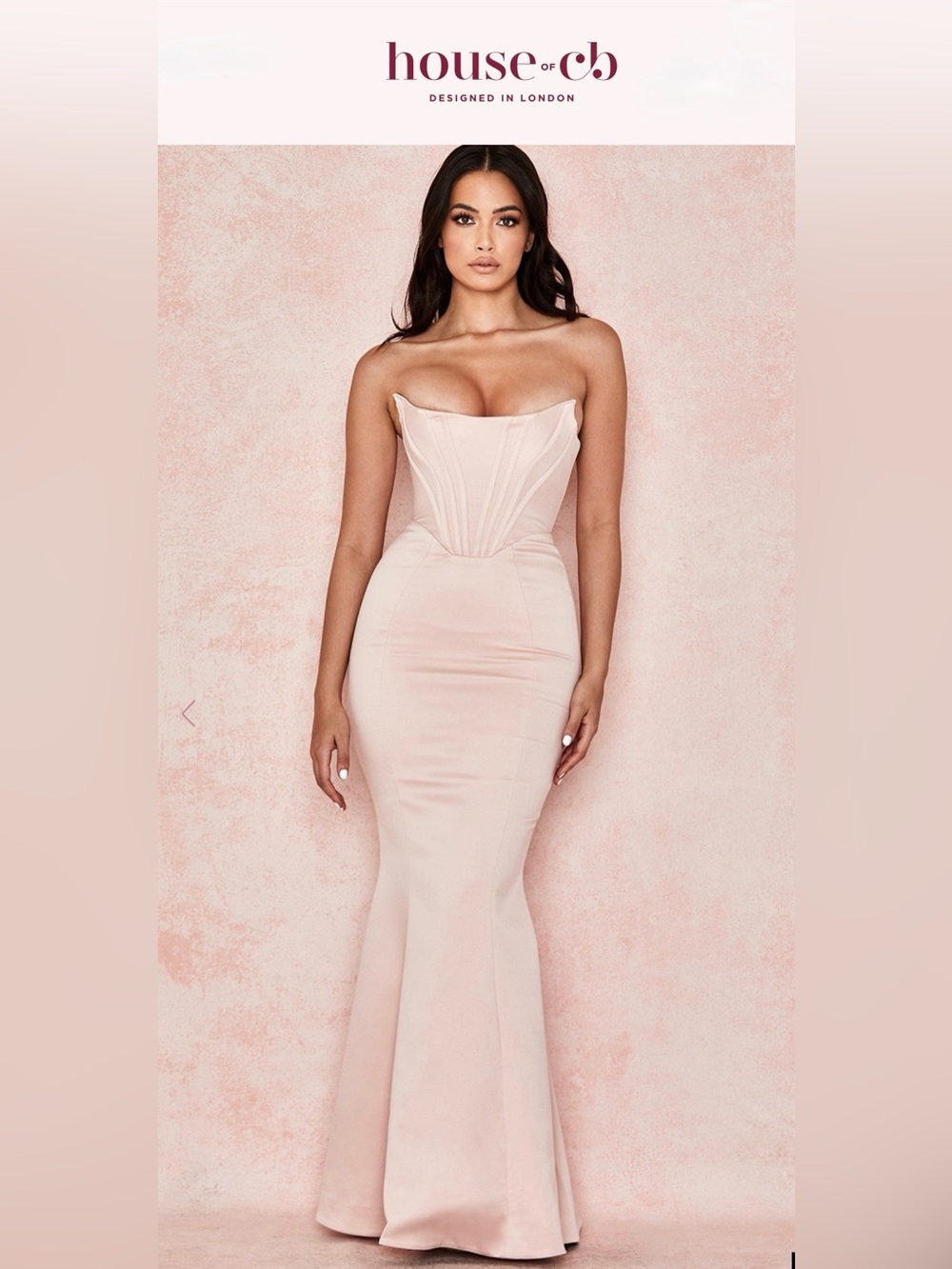 House of CB Strapless Blush Sculpted Mermaid Gown | size L